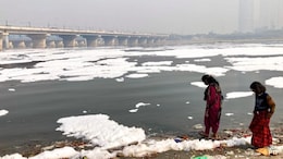 Delhi Pollution Control Panel Submits Yamuna Rejuvenation Plan To PM's Office