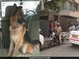Sniffer Dogs At Saif Ali Khan's Home, 7 Police Teams Searching For Attacker Sniffer Dogs At Saif Ali Khan's Home, 7 Police Teams Searching For Attacker