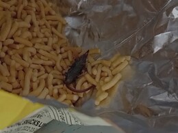 गुजरात: नमकीन के पैकेट में मिला मरा हुआ चूहा, लड़की को हुआ डायरिया  गुजरात: नमकीन के पैकेट में मिला मरा हुआ चूहा, लड़की को हुआ डायरिया