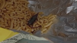 Dead Rat Found In Packet Of Popular Snack, Gujarat Girl Gets Diarrhoea