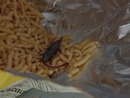 Dead Rat Found In Packet Of Popular Snack, Gujarat Girl Gets Diarrhoea Dead Rat Found In Packet Of Popular Snack, Gujarat Girl Gets Diarrhoea