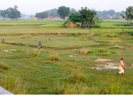 Fact Check: Truth Behind Viral Post Claiming India Number 1 In Open Defecation