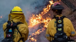 Natural Disasters Caused $135 Billion In Economic Losses: Reinsurance Giant Swiss Re