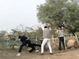 Viral Video: Clash Over Land Dispute In Noida, Man Lifts Huge Rock To Attack