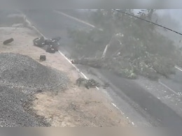 Video: Teacher On Way To School Dies After Tree Branch Falls On Her In Bihar Video: Teacher On Way To School Dies After Tree Branch Falls On Her In Bihar