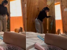 लड़की रील बना रही थी, तभी पीछे से आ गया बंदर, डर के मारे ज़ोर से चिल्लाई, आगे जो हुआ, कंट्रोल नहीं होगी हंसी लड़की रील बना रही थी, तभी पीछे से आ गया बंदर, डर के मारे ज़ोर से चिल्लाई, आगे जो हुआ, कंट्रोल नहीं होगी हंसी