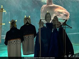 Japanese Aquarium Puts Cutouts Of People To Comfort Lonely Sunfish Japanese Aquarium Puts Cutouts Of People To Comfort Lonely Sunfish