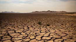 "Urgent And Existential": UN Court's Landmark Judgement On Climate Change Threat
