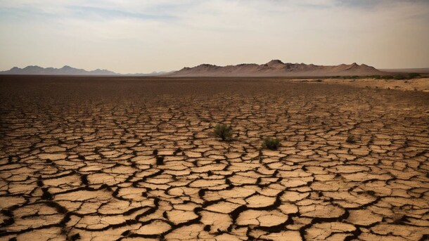 "Urgent And Existential": UN Court's Landmark Judgement On Climate Change Threat