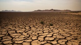 Climate Change Performance Index 2025: Where India Stands