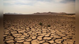 German Weather Station Records Driest First Half Of Year In 13 Decades