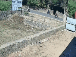 VIDEO: तेज रफ्तार से बाइक चलाना बना जानलेवा, राजसमंद सड़क हादसे में 2 लोगों की मौत VIDEO: तेज रफ्तार से बाइक चलाना बना जानलेवा, राजसमंद सड़क हादसे में 2 लोगों की मौत