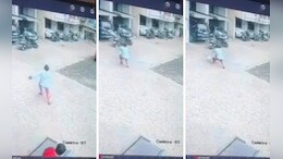 Accident news: 2 वर्षाचा चिमुकला 3 ऱ्या मजल्यावरून पडला, पुढं जे घडलं ते...