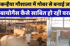 jodhpur की Kanhaiya Gaushala में गोबर से बनाई जा रही  Bio Gas कैसे साबित हो रही वरदान?
