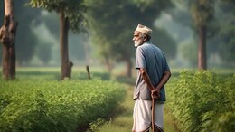 किसानों को मिला 1 जनवरी को डबल बड़ा तोहफा, सरकार ने फसल बीमा विस्तार के साथ बढ़ाई इस चीज पर सब्सिडी