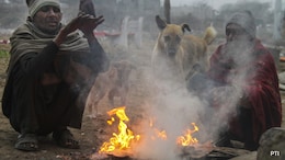 Why Is North India Experiencing Severe Cold? Weather Body Scientist Explains
