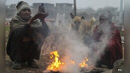 Cold Wave in MP: मध्य प्रदेश में पहाड़ों से भी ज्यादा ठंड, 14 जिलों में शीत लहर का अलर्ट