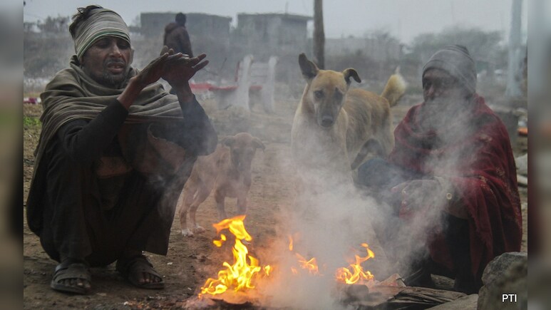 Cold Wave in MP: मध्य प्रदेश में पहाड़ों से भी ज्यादा ठंड, 14 जिलों में शीत लहर का अलर्ट