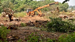 Supreme Court Says No Tree Felling In Mumbai's Aarey Without Its Permission
