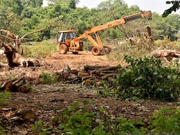 Supreme Court Says No Tree Felling In Mumbai's Aarey Without Its Permission Supreme Court Says No Tree Felling In Mumbai's Aarey Without Its Permission
