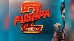 Pushpa 2 : ताबड़तोड़ कमाई के बाद पुष्पा 2 के Film Makers के दफ्तर पर इनकम टैक्स का छापा