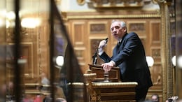 What Does It Mean To Be French?" PM Bayrou Calls For Immigration Debate