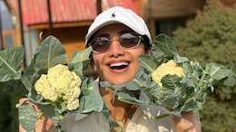 Shilpa Shetty Reveals How She "Had <i>Aloo and Gobi</i>...But Separately" - See Post