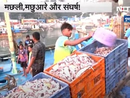 20 लाख का कर्ज कैसे चुकाएं... मछलियों के डेरा बदलने से दर्द में 'समंदर के बच्चे', छलका दर्द 20 लाख का कर्ज कैसे चुकाएं... मछलियों के डेरा बदलने से दर्द में 'समंदर के बच्चे', छलका दर्द