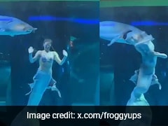 Southern Mermaid Xx Xxx Videos