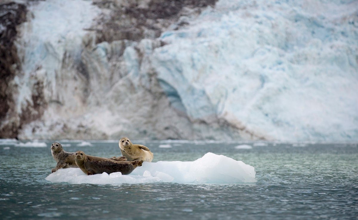 Photo: iStock Photo: iStock