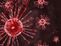 HMPV Virus Explained: क्या है और कहां से आया है ह्यूमन मेटान्यूमोवायरस या HMPV वायरस? क्यों इसे कह रहे हैं चाइना वायरस, जानें सबकुछ HMPV Virus Explained: क्या है और कहां से आया है ह्यूमन मेटान्यूमोवायरस या HMPV वायरस? क्यों इसे कह रहे हैं चाइना वायरस, जानें सबकुछ