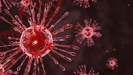 HMPV Epidemic In China: Should You Be Worried In India?