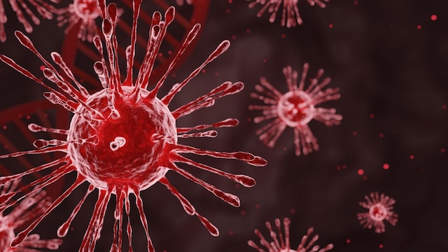 HMPV Epidemic In China: Should You Be Worried In India?