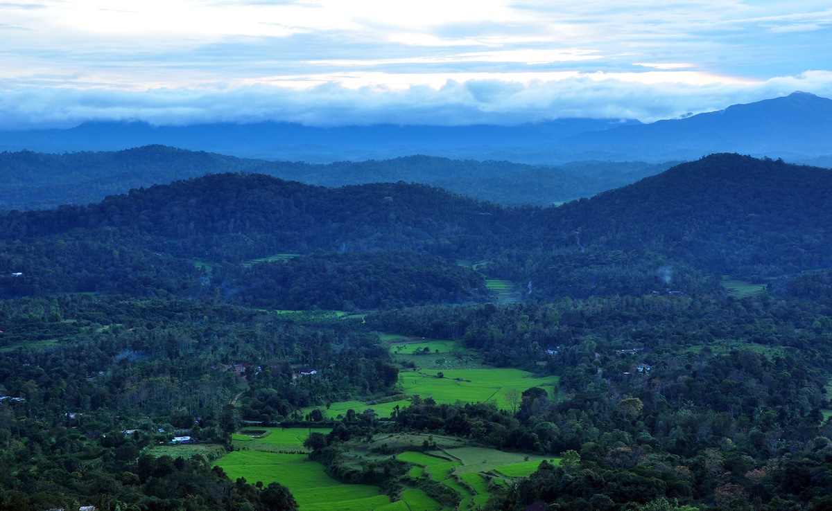 Photo: iStock Photo: iStock