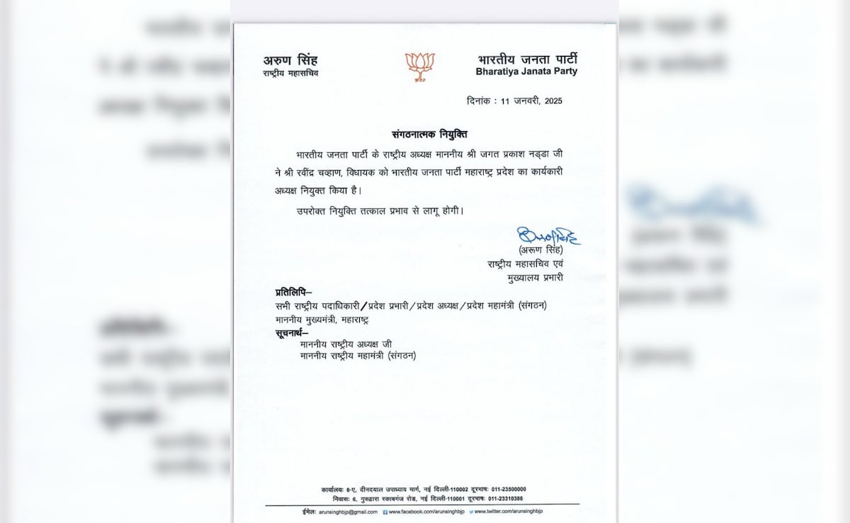 Ravindra Chavan BJPs Maharashtra working president 