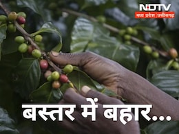 बदल रहा है बस्तर ! बारूद की गंध की जगह फैल रही है कॉफी की खुशबू, जानिए कैसे आया ये बदलाव  बदल रहा है बस्तर ! बारूद की गंध की जगह फैल रही है कॉफी की खुशबू, जानिए कैसे आया ये बदलाव