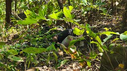 Naxalites Encounter: गरियाबंद में हुई मुठभेड़ में पुलिस ने पहले बताया तीन नक्सली हुए ढेर, अब एक की कि पुष्टि