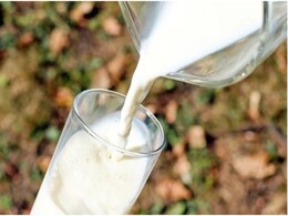 Rajasthan: आपके घर पहुंच रहा मिलावटी दूध? 97 फीसदी नमूने टेस्ट में फेल, दूध में पानी के अलावा स्टार्च-नमक भी मिला