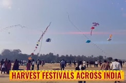 India Celebrates Harvest Festivals, Uniting Communities Across States India Celebrates Harvest Festivals, Uniting Communities Across States