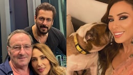 Salman Khan's Pet Dog Toro Dies, Actor's Rumoured Girlfriend Iulia Vantur Shares Emotional Post