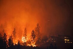 LA Wildfires: At Least 10 Killed, Canada: Liberal Party To Choose New Leader On March 9 LA Wildfires: At Least 10 Killed, Canada: Liberal Party To Choose New Leader On March 9