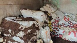 नौकर ने की हदें पार, पान की दुकान में लगाई आग- 35 लाख के नुकसान के बाद चढ़ा हत्थे