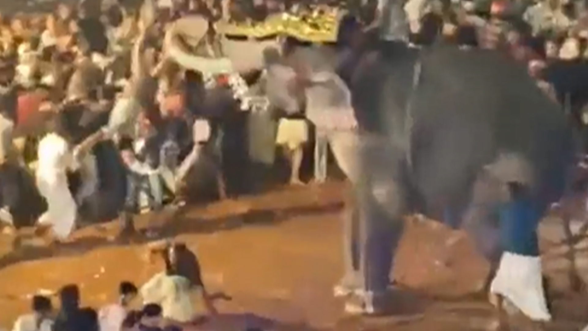 Video: Elephant Gets Agitated At Kerala Festival, 17 Injured