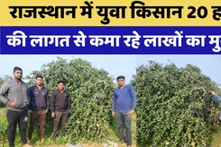 Rajasthan में Young Farmer 20 हजार की लागत से कमा रहे लाखों का मुनाफा
