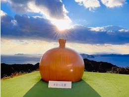 "Crazy, Funny And Unique": Internet Reacts To Viral Video Of Onion Island In Japan