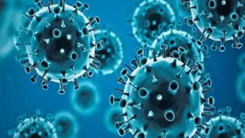 "Can't Call It India's 1st Case, Virus Already Exists": Karnataka On HMPV
