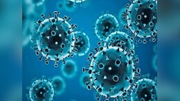 Explainer: HMPV Not A New Pathogen, Cases Have Been Reported Worldwide