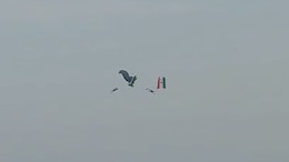 Video: Navy Officers In Free Fall After Parachutes Entangle During Descent