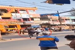 Video: Traffic Cop Kicks, Slaps Man As Governor's Convoy Passes By Video: Traffic Cop Kicks, Slaps Man As Governor's Convoy Passes By