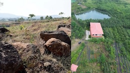 8 Years, 40,000 Trees: How Indore Man Turned Barren Hill Into A Forest